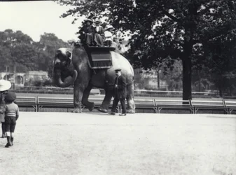 Un éléphant asiatique monté par deux dames et une jeune fille, avec un gardien à ses côtés, Zoo de Londres, mai 1914